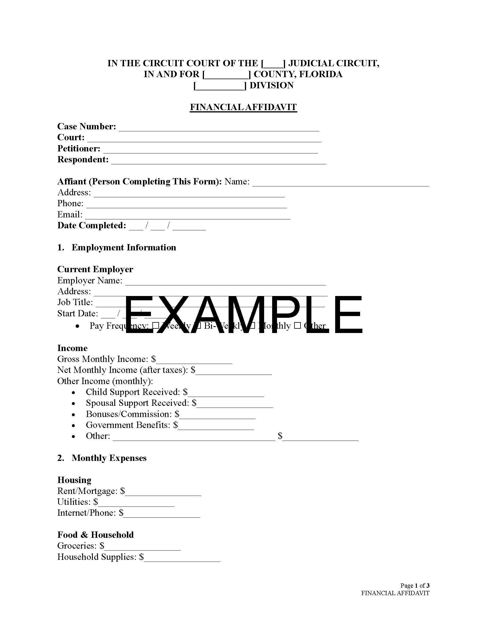 Financial Affidavit With Guide
